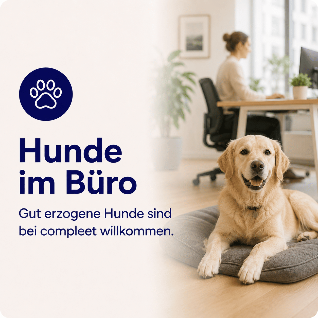 benefit_hunde
