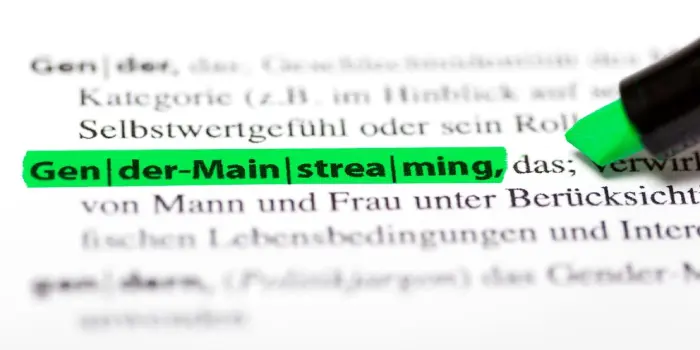 headergrafik_gender-mainstreaming